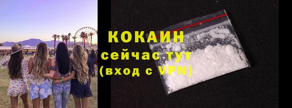 mdpv Гусев
