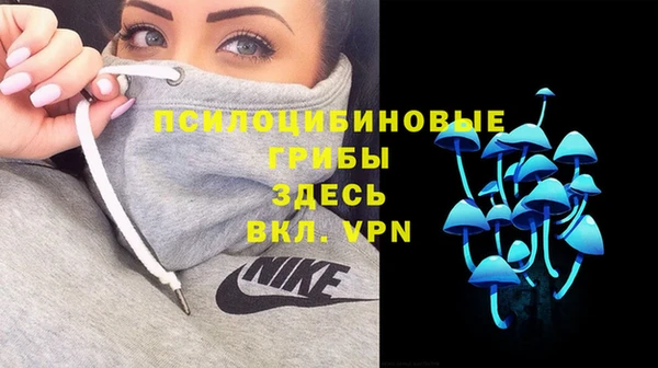 твердый Гусь-Хрустальный