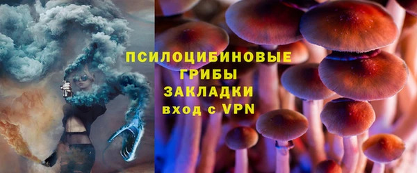 твердый Гусь-Хрустальный