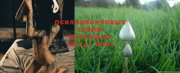 бутират Горняк