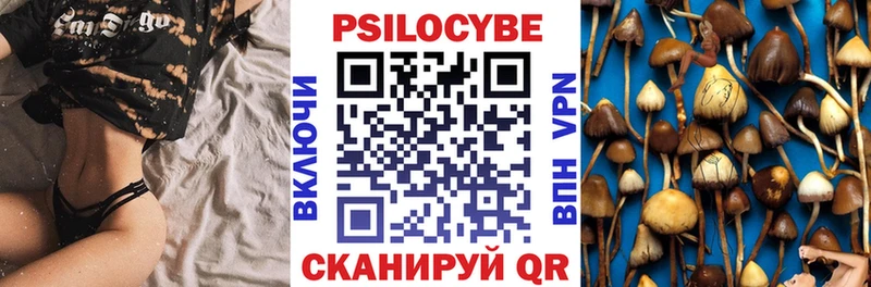 Псилоцибиновые грибы мицелий  где купить наркоту  Николаевск-на-Амуре 